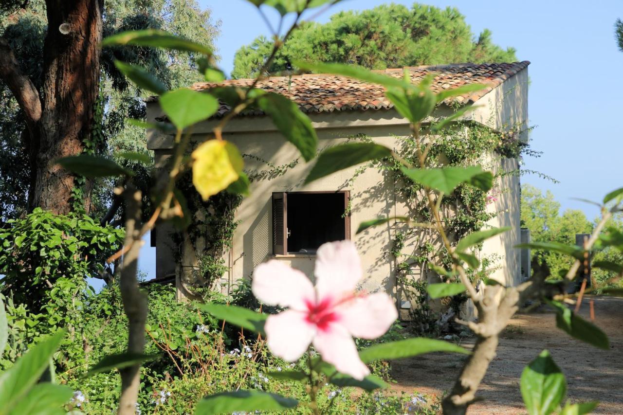 Case Di Berto Capo Vaticano Exterior photo